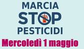 CISON: marcia Stop Pesticidi 2024