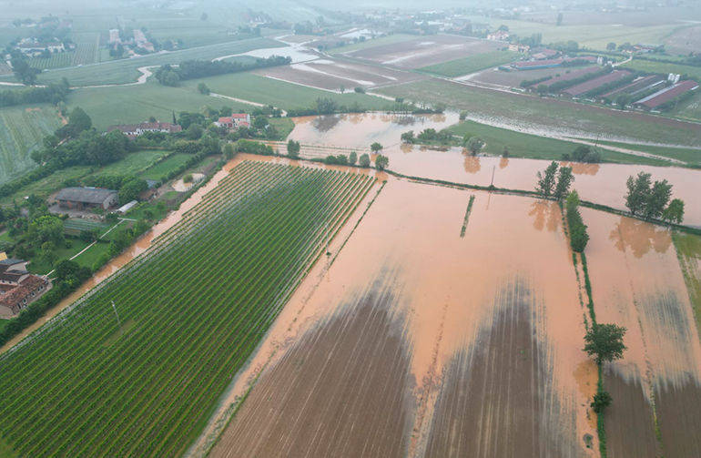 AGRICOLTURA: cinque milioni in più per le assicurazioni