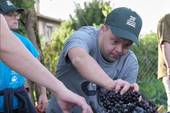 DISABILITA': la ventesima vendemmia inclusiva con i ragazzi dell'AIPD