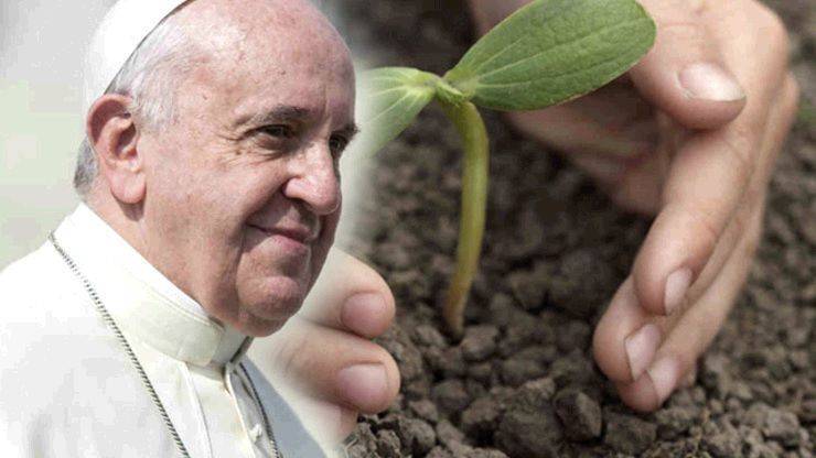 GIORNATA CREATO: il messaggio del Papa "Spera e agisci con il creato”