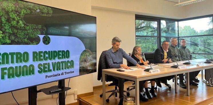 PROVINCIA: 1.634 animali selvatici salvati