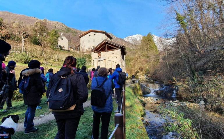 Torna "Boschi a Natale" per esplorare i più bei siti naturali del Veneto