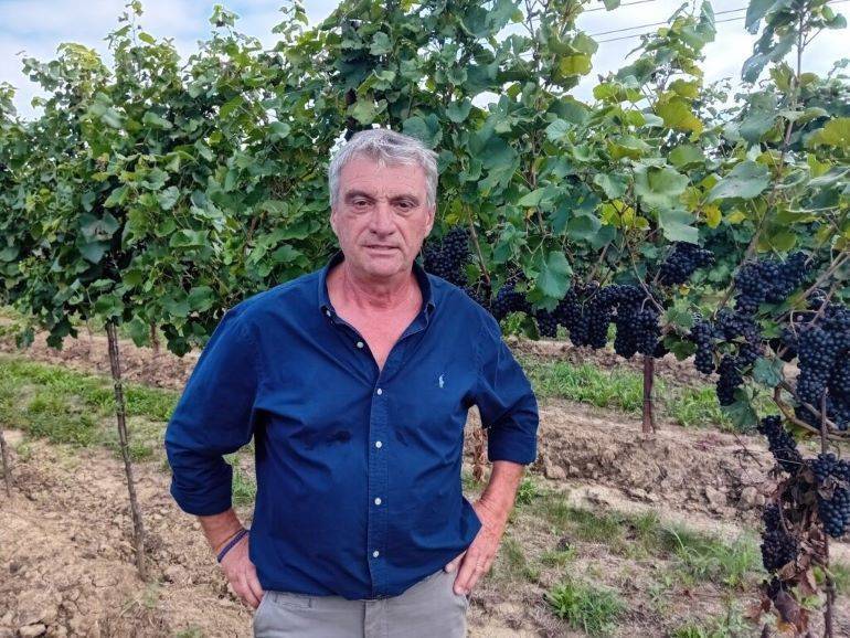 TREVIGIANO: danni all'agricoltura a causa del maltempo