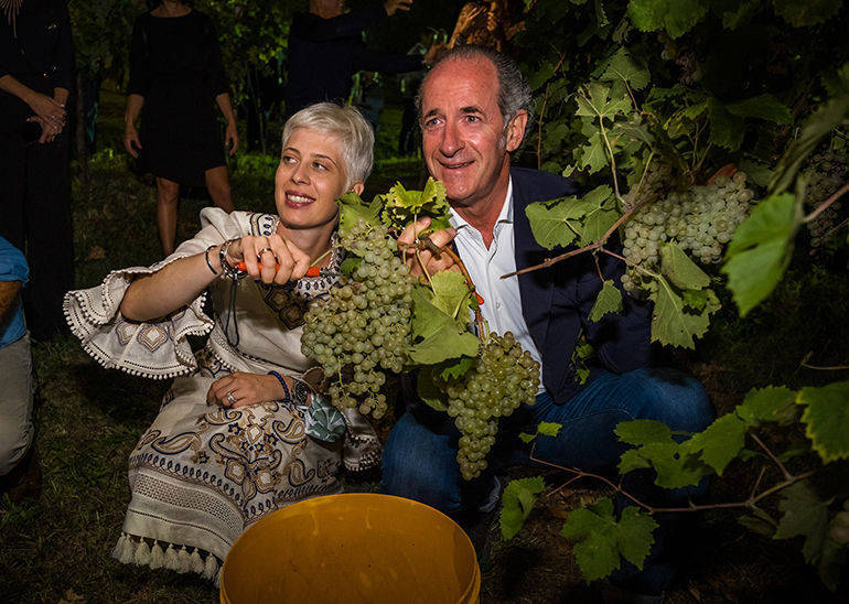 VENDEMMIA: Zaia alla vendemmia notturna di Cozzuolo