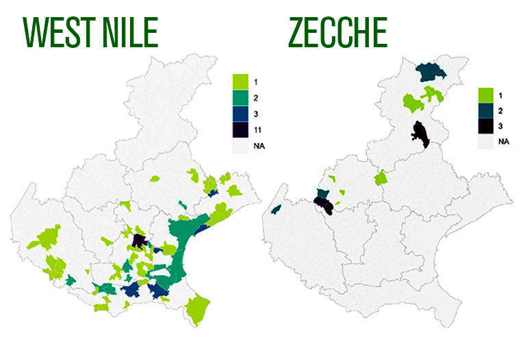 VENETO: 102 casi di West Nile