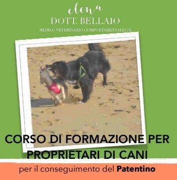 CONEGLIANO: corso di formazione per proprietari di cani